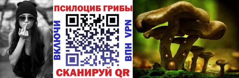 магазин    Заозёрный  MEGA tor  Галлюциногенные грибы мухоморы 